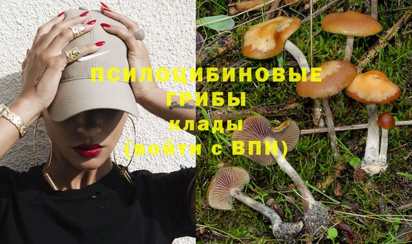 гашик Абинск